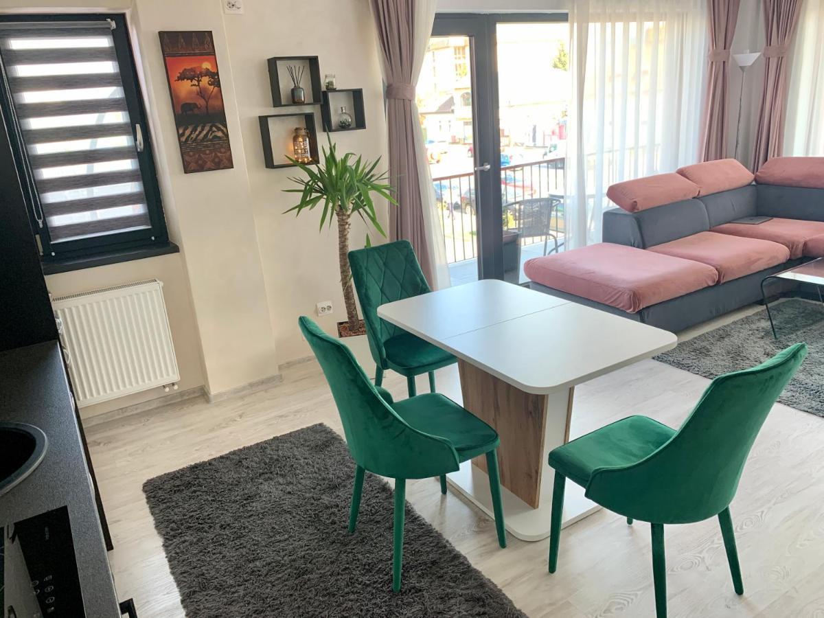 View Apartment Târgu-Mureş Dış mekan fotoğraf